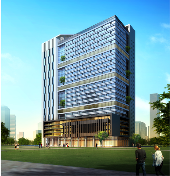 Luoyang Central Hospital Project